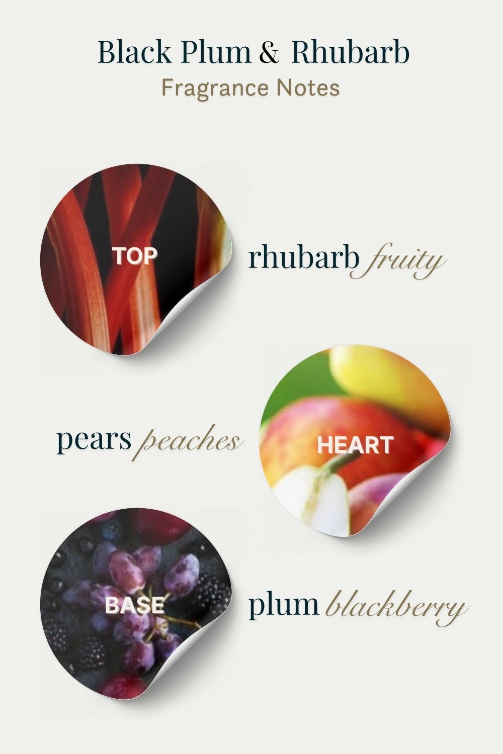 Fragrance notes diagram for Black Plum & Rhubarb with labeled components.