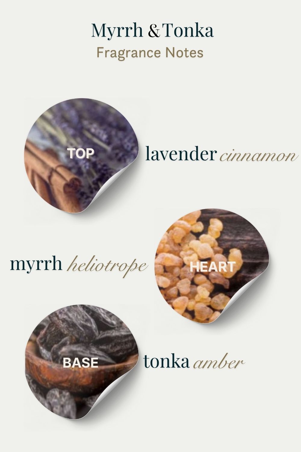 Fragrance notes of Myrrh & Tonka with corresponding botanical images on a light background