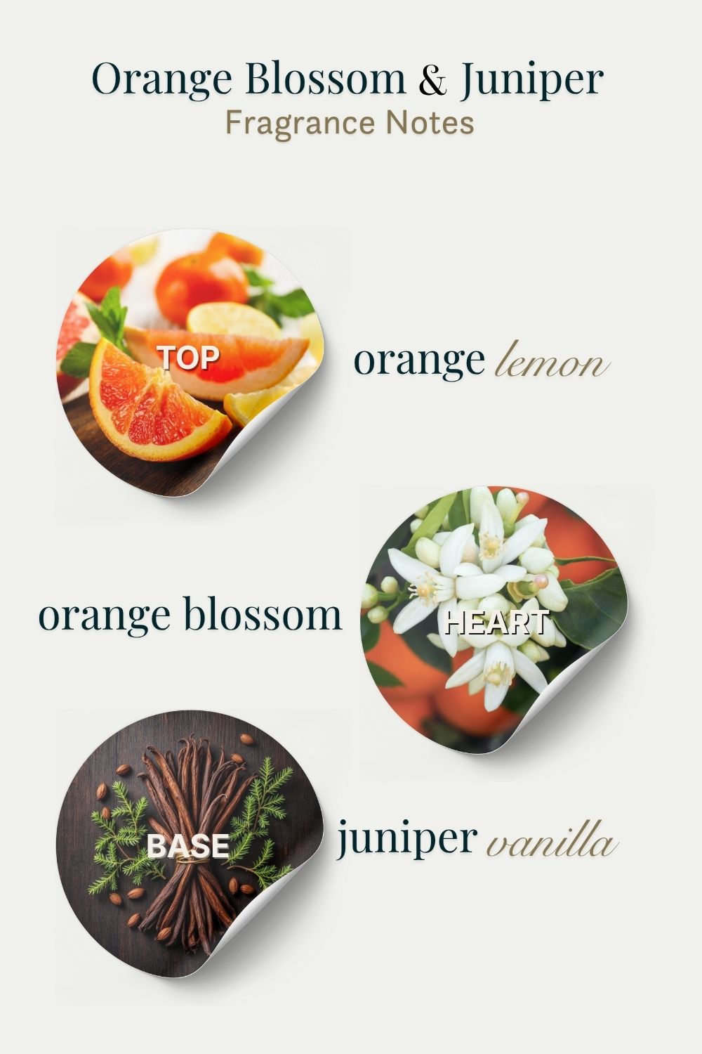Fragrance notes diagram for Orange Blossom & Juniper with labeled elements.