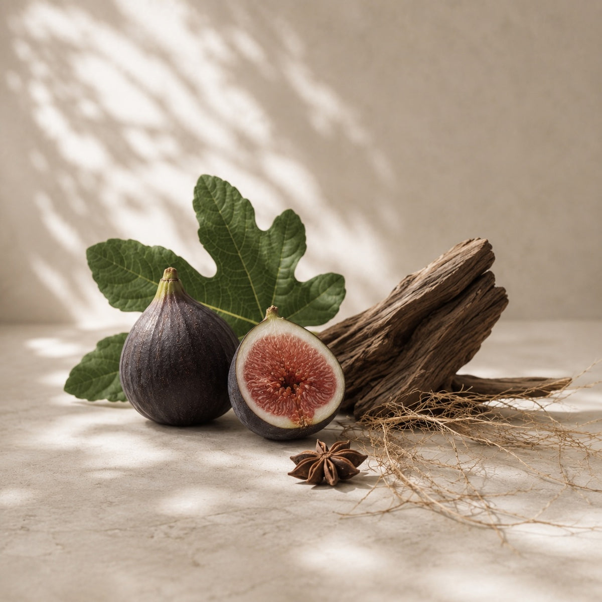 Elm & Grey Black Fig & Vetiver home fragrance collection