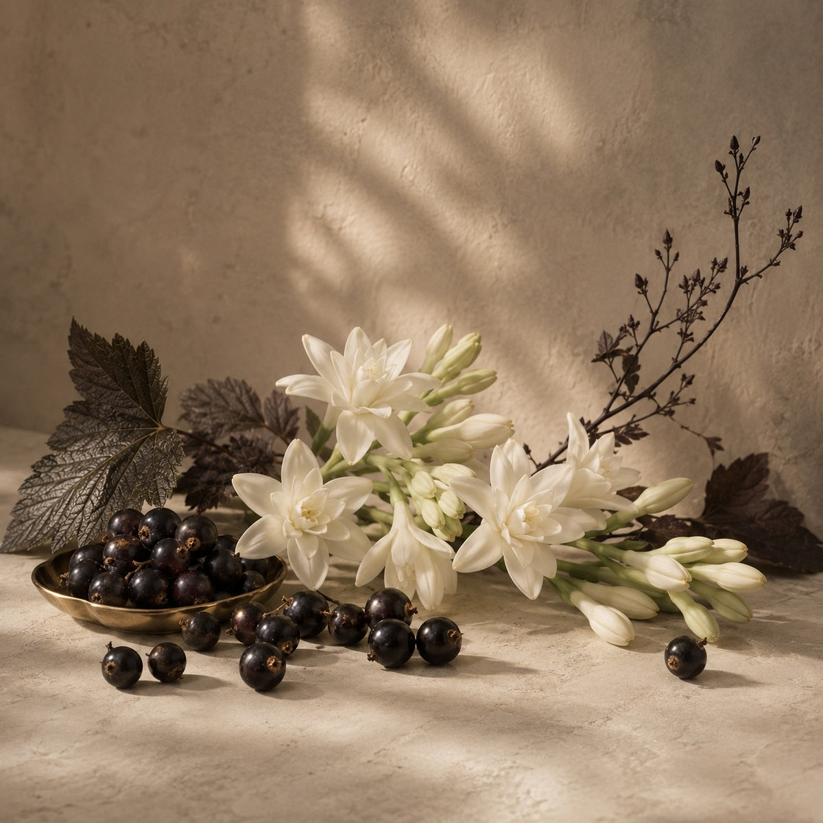 Blackcurrants and white tuberose illustrating the floral fruity notes of Elm & Grey Blackcurrant & Tuberose