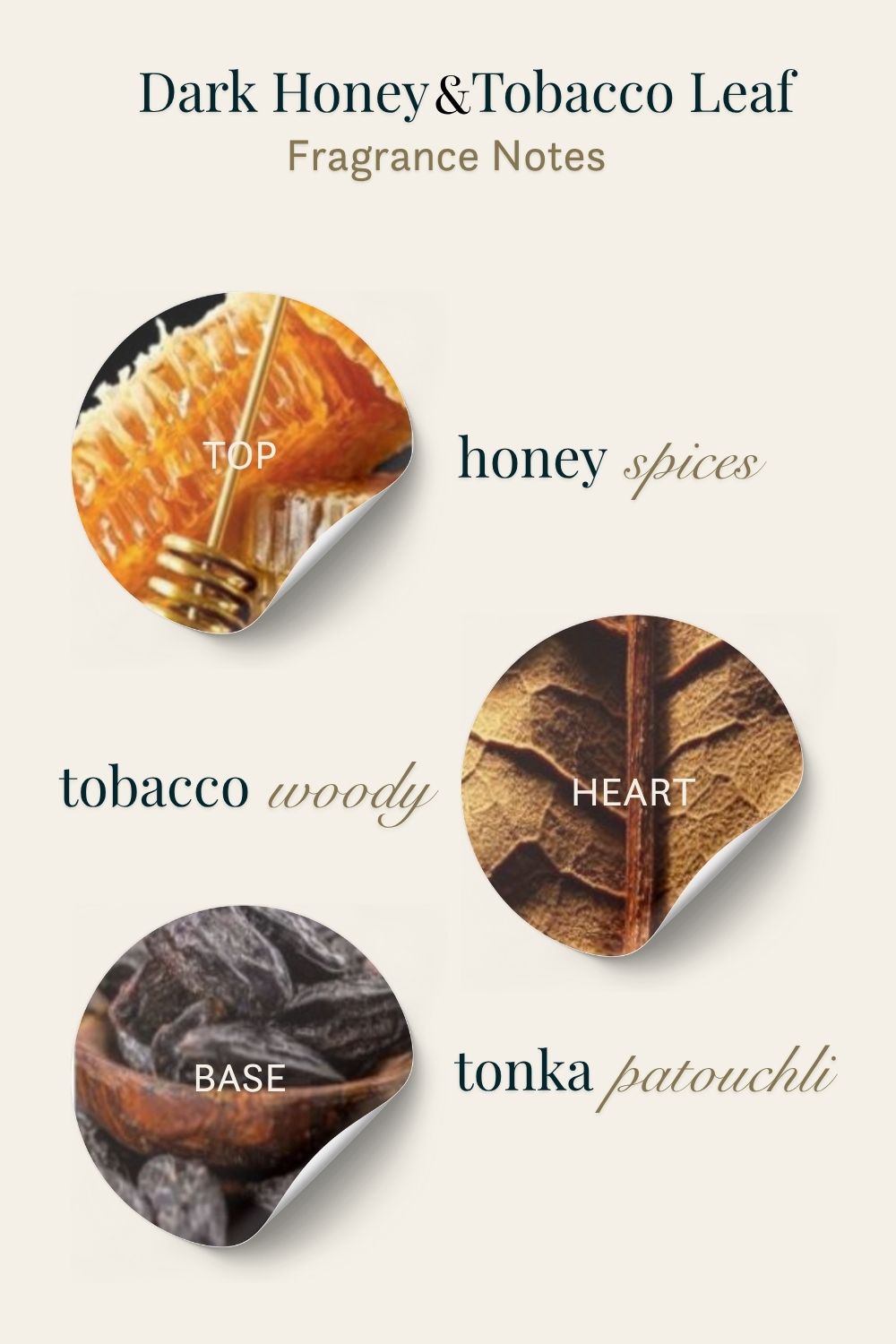 Fragrance notes of dark honey and tobacco leaf with corresponding images and text on a white background.