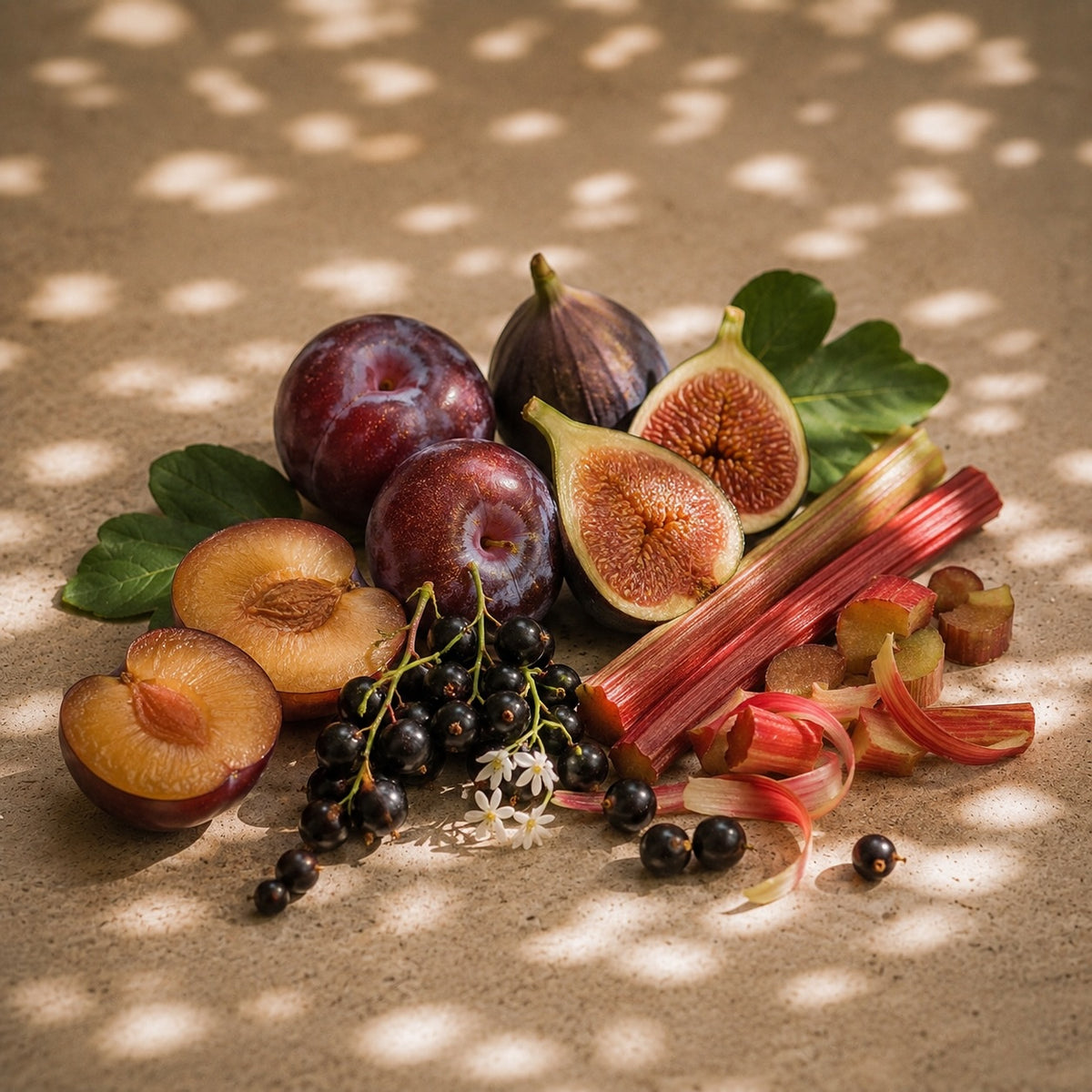 Sunlit still life of plums, figs, blackcurrants and rhubarb on a warm neutral background, evoking the juicy, layered character of Elm & Grey fruity fragrances
