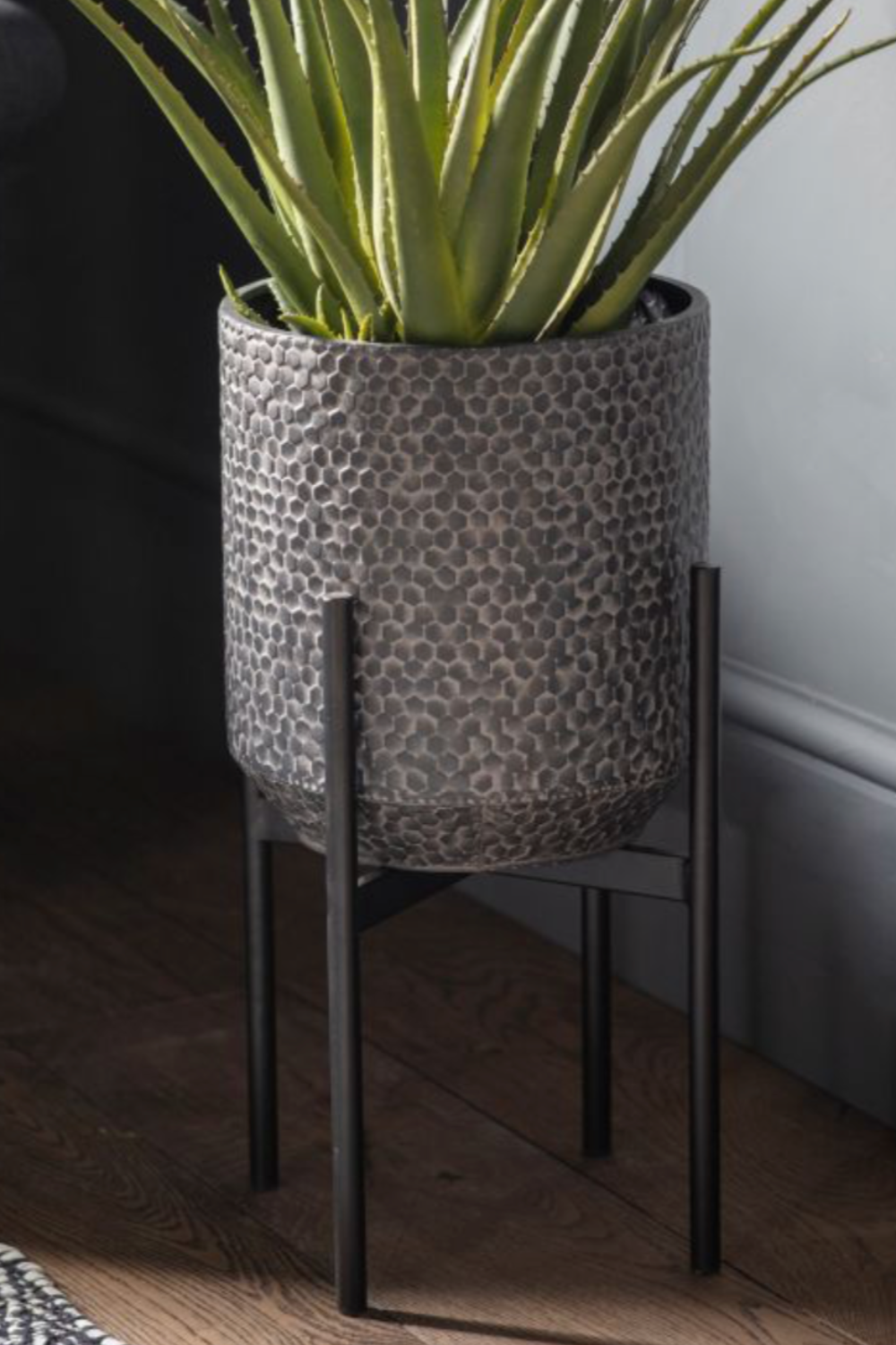 Plant in a patterned pot on a black stand against a neutral wall.