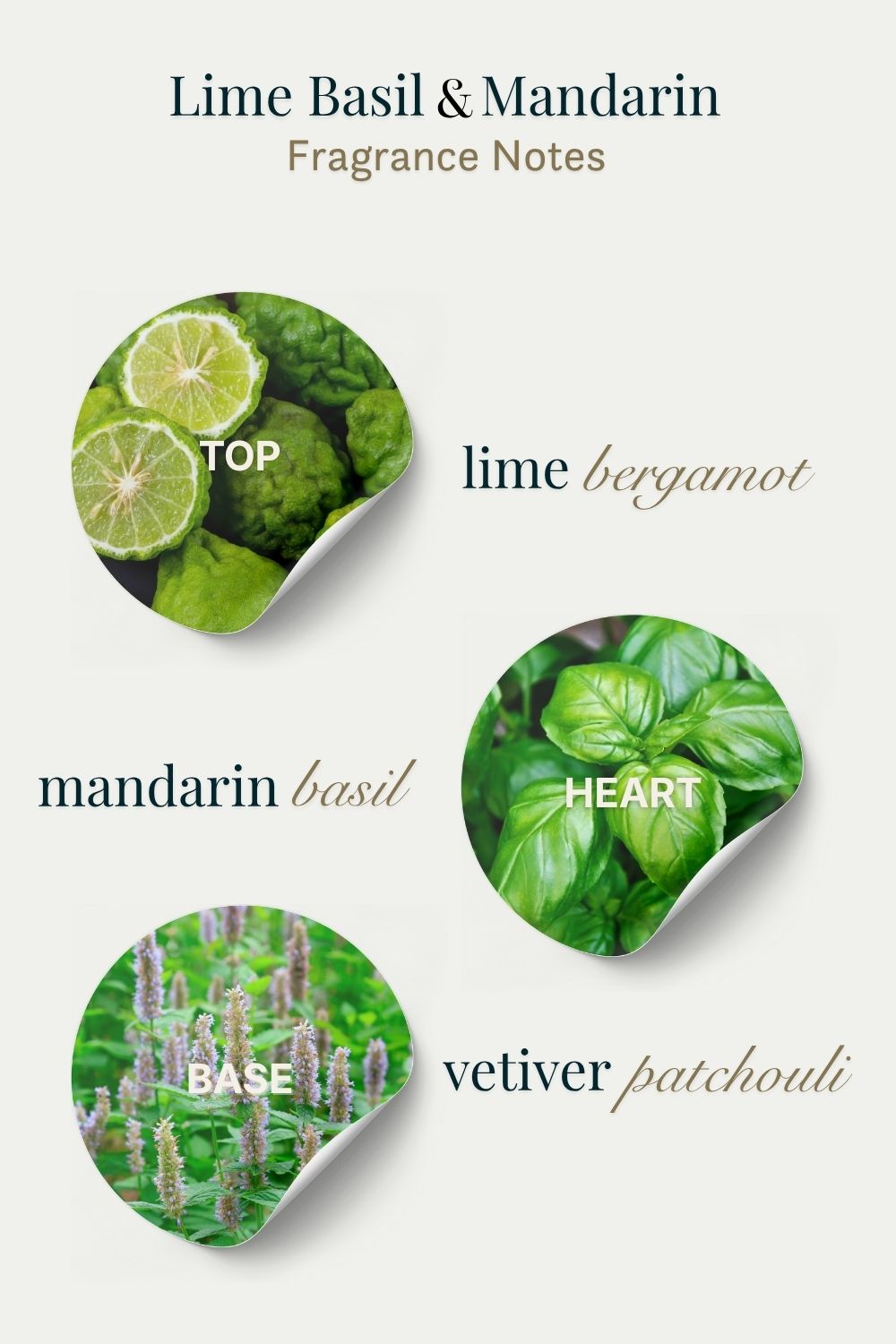 Fragrance notes diagram for Lime Basil & Mandarin with images of lime, basil, and vetiver.