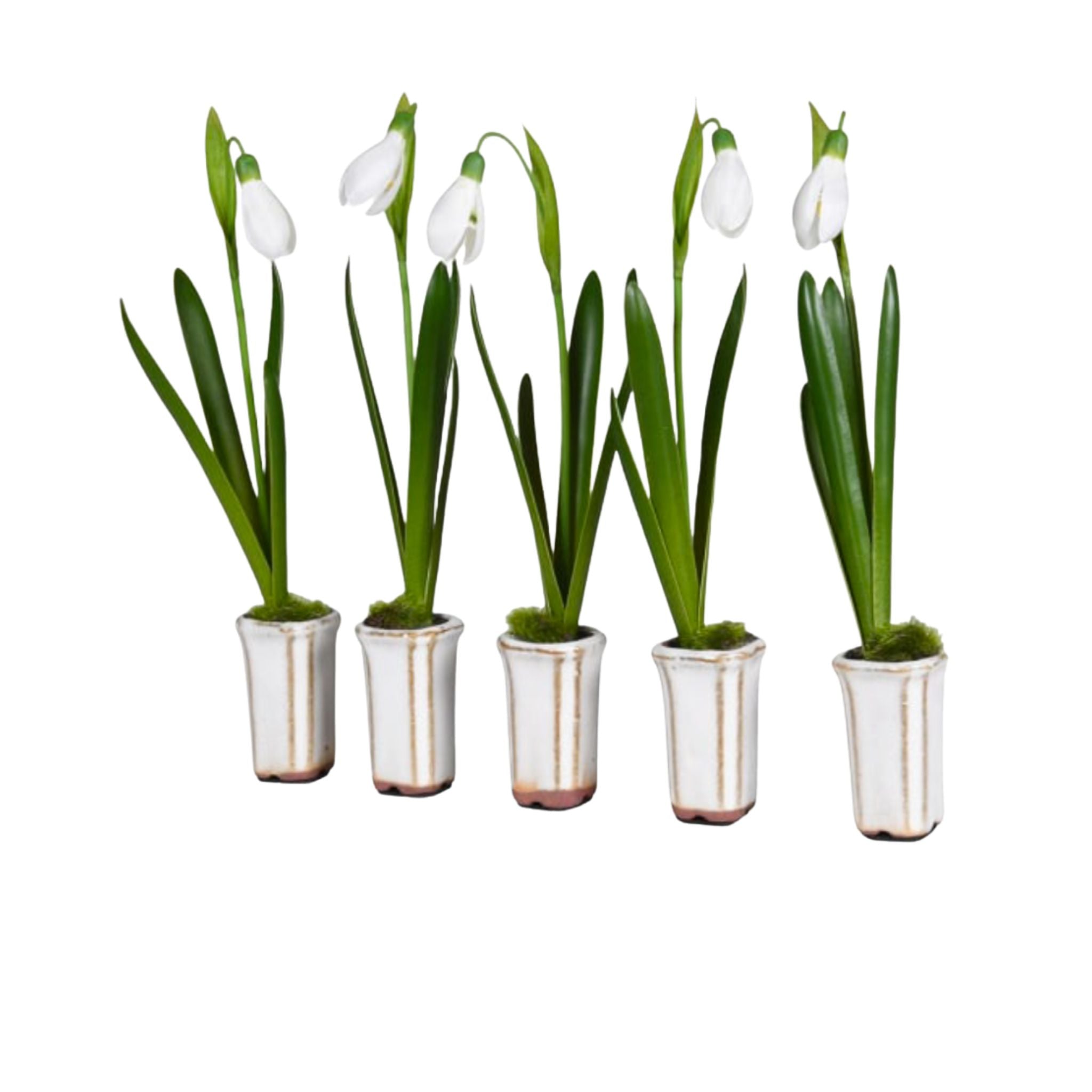 Five delicate artificial snowdrops in ceramic pots