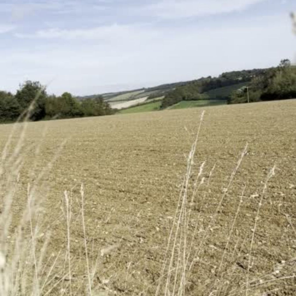 SUSTAINABILITY - Our Sustainability Principles