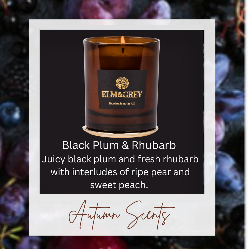 Black Plum and Rhubarb Home Fragrance Collection