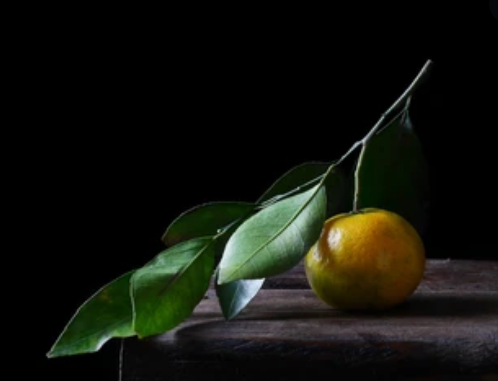 Citrus Scents