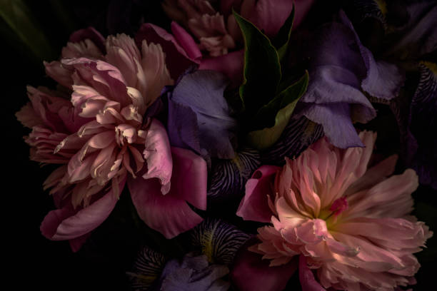 Floral Scents Elm and Grey