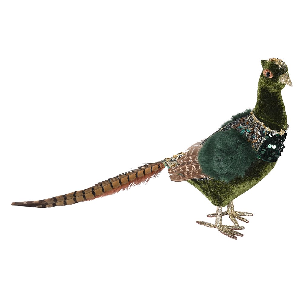 Small Green Pheasant