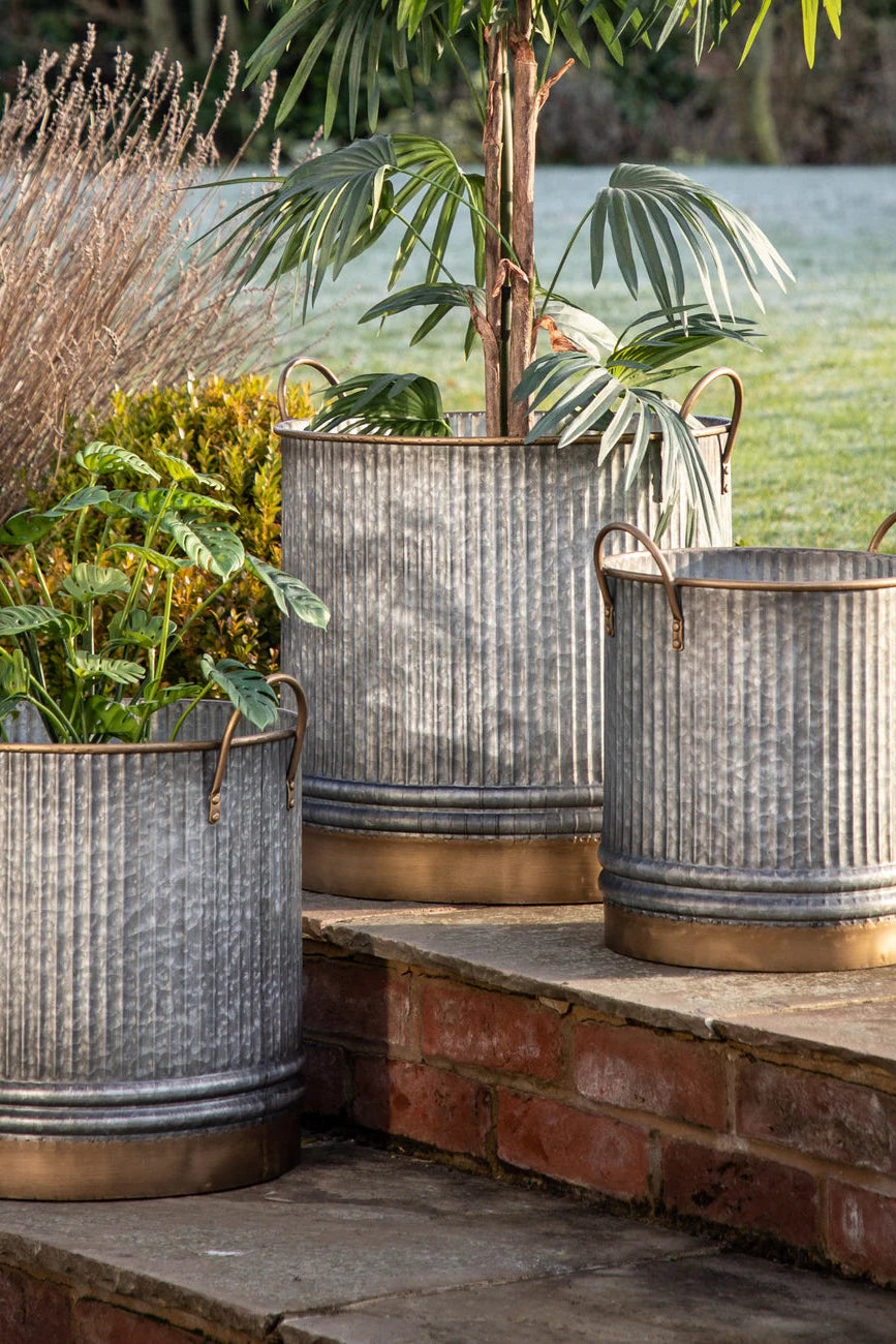 Three metal planters with plants on a stone ledge outdoors.