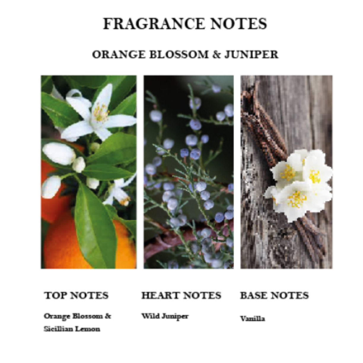 A fragrance note card set featuring images of orange blossom, juniper, and vanilla, with the text 'Top Notes - Orange Blossom & Juniper', 'Heart Notes - Wild Jasmine', and 'Base Notes - Vanilla'. The card set is presented on a wooden background.