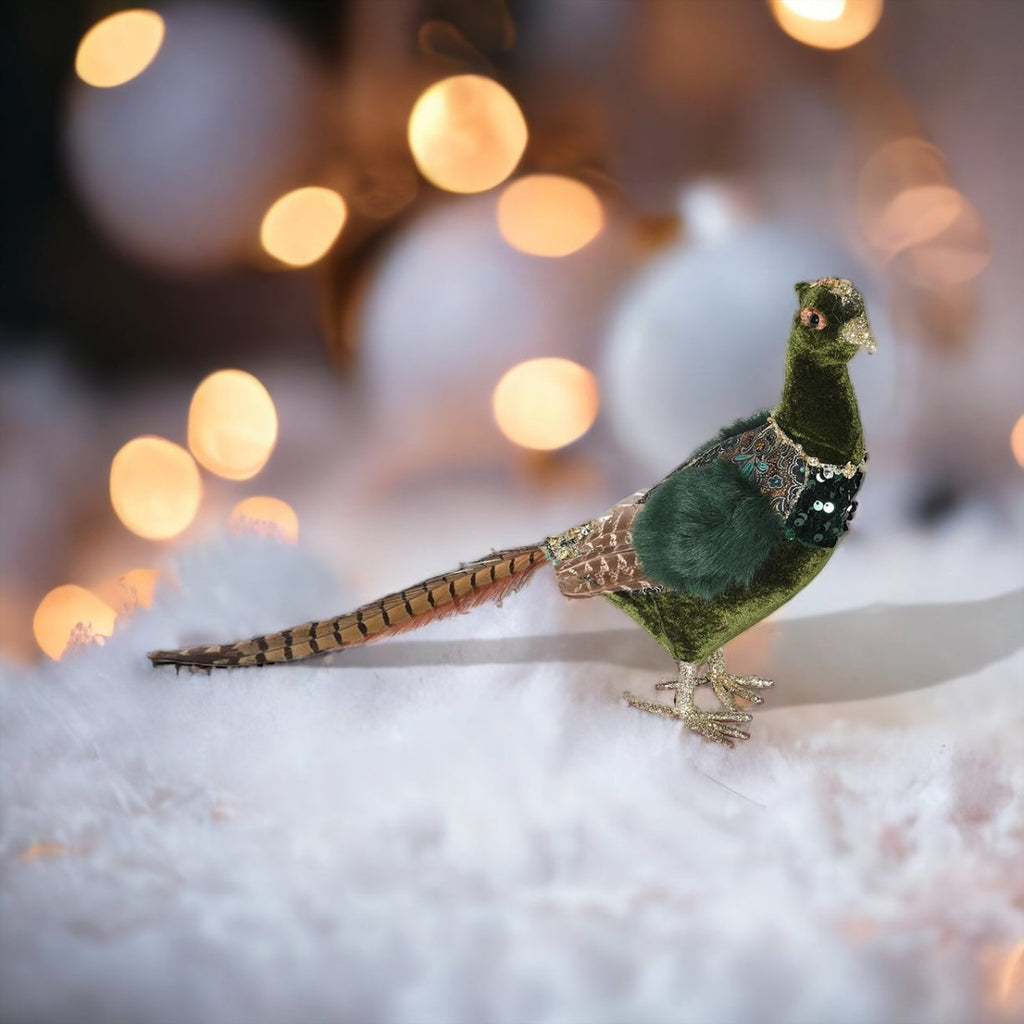 Small Green Pheasant