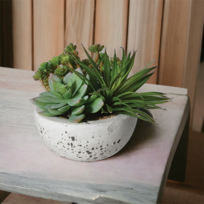 Assorted Green Succulents Arranged in Grey Cement Bowl