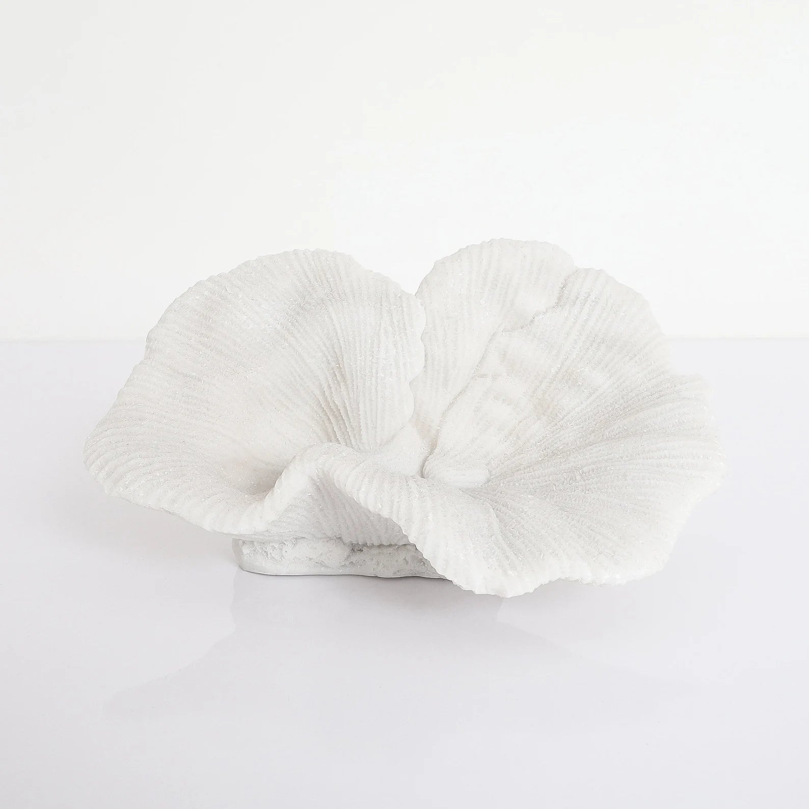 Natural Textured Platter Coral Sculpture