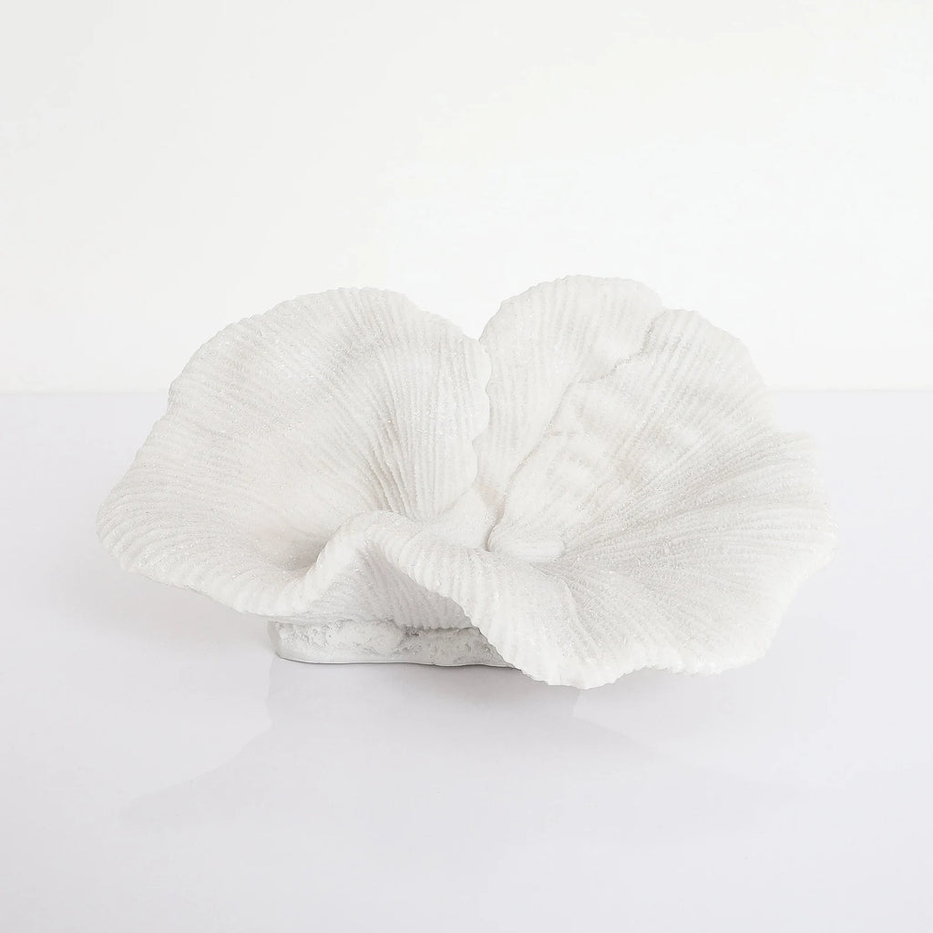 Natural Textured Platter Coral Sculpture