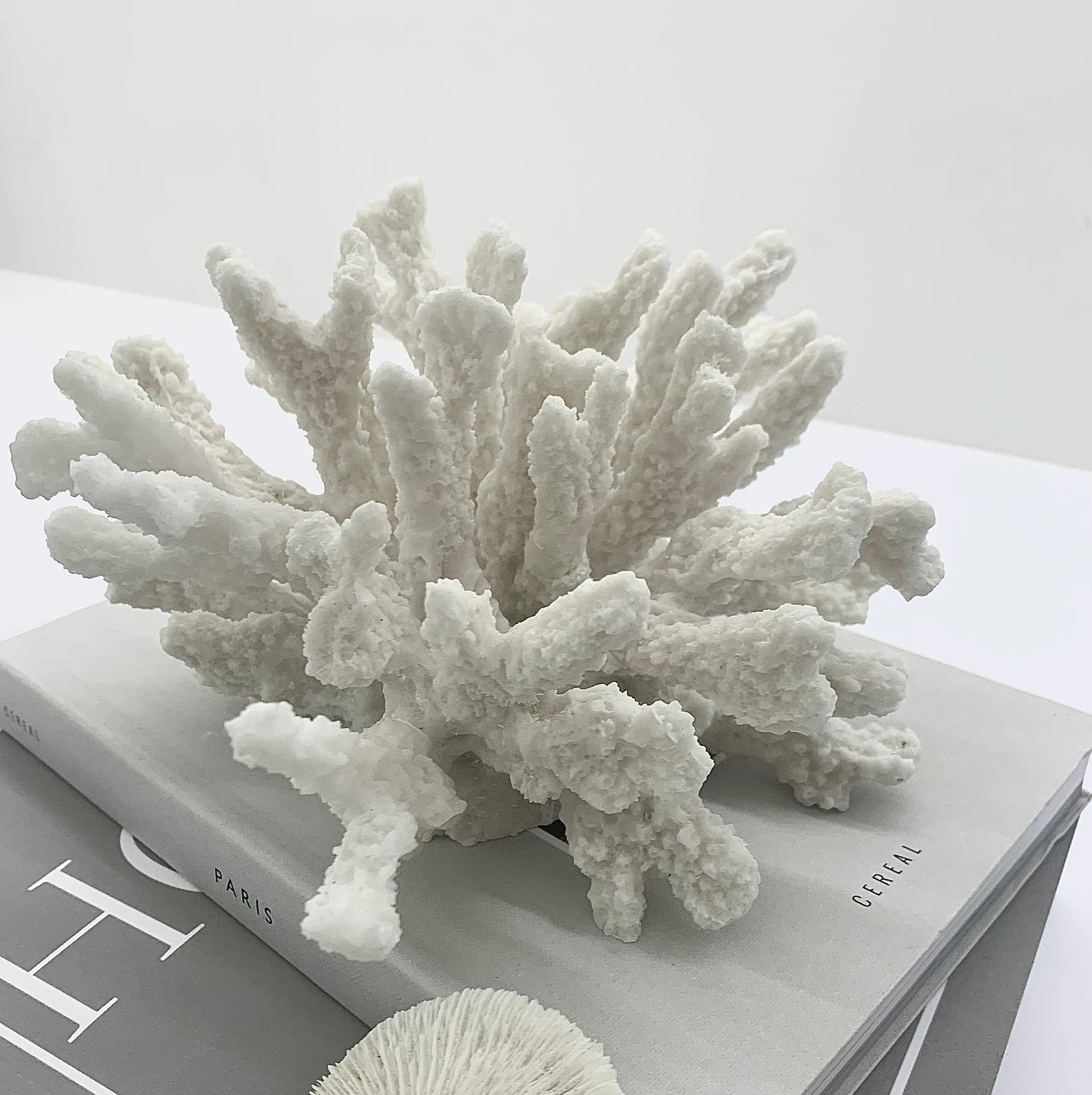 Textured Small Coral Resin Sculpture