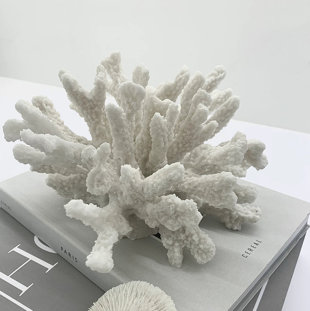 Natural Textured Small Coral Sculpture