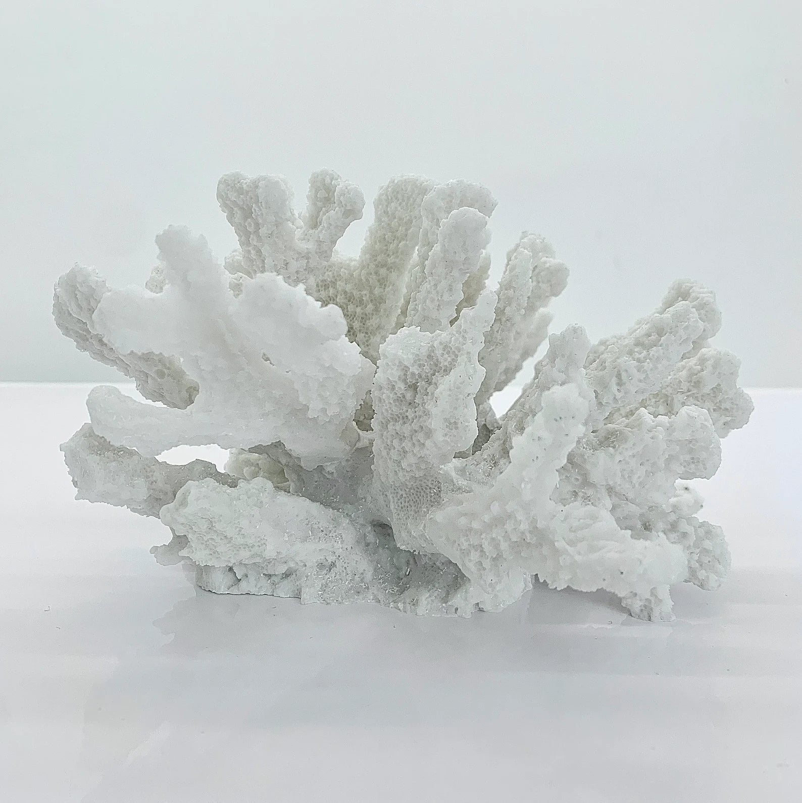 Textured Small Coral Resin Sculpture