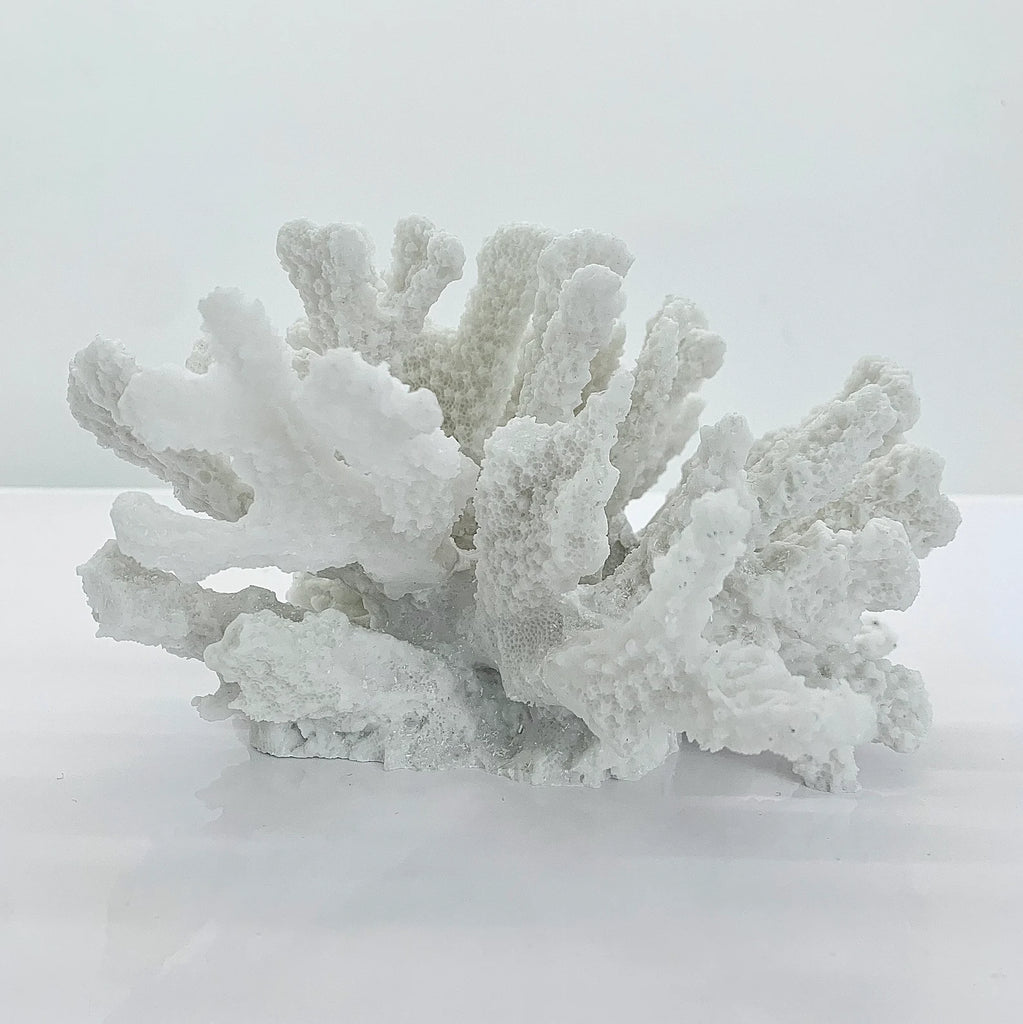 Natural Textured Small Coral Sculpture