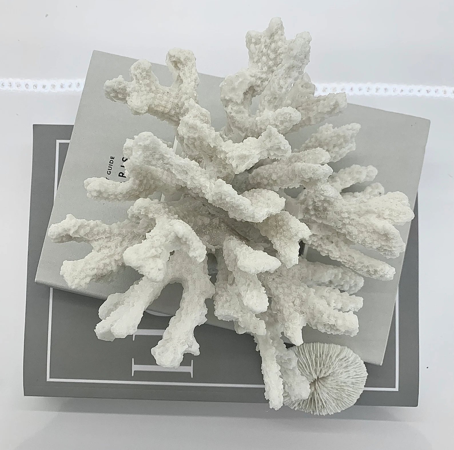 Textured Small Coral Resin Sculpture