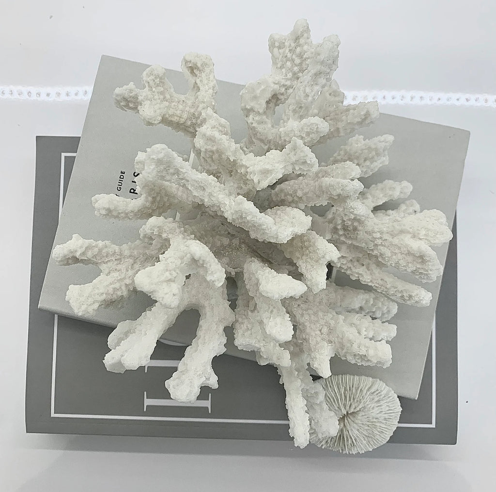 Natural Textured Small Coral Sculpture