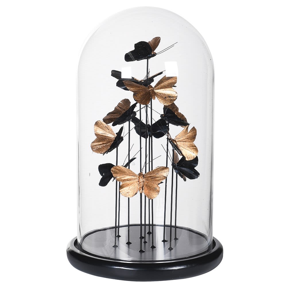 Golden butterflies in a glass dome with a white background
