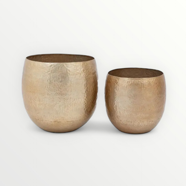 Pair of Golden Planters on a white background 