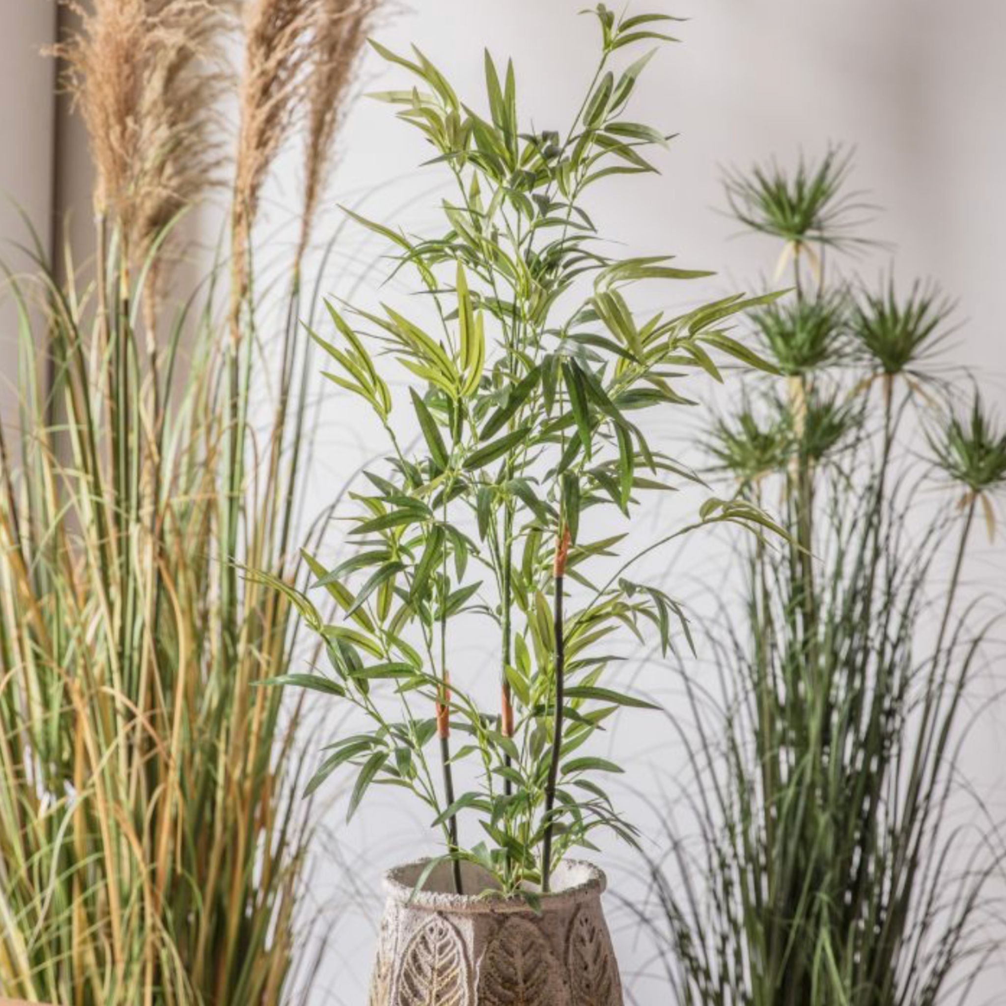 Potted plant with decorative pot in a setting with tall grasses and a neutral background