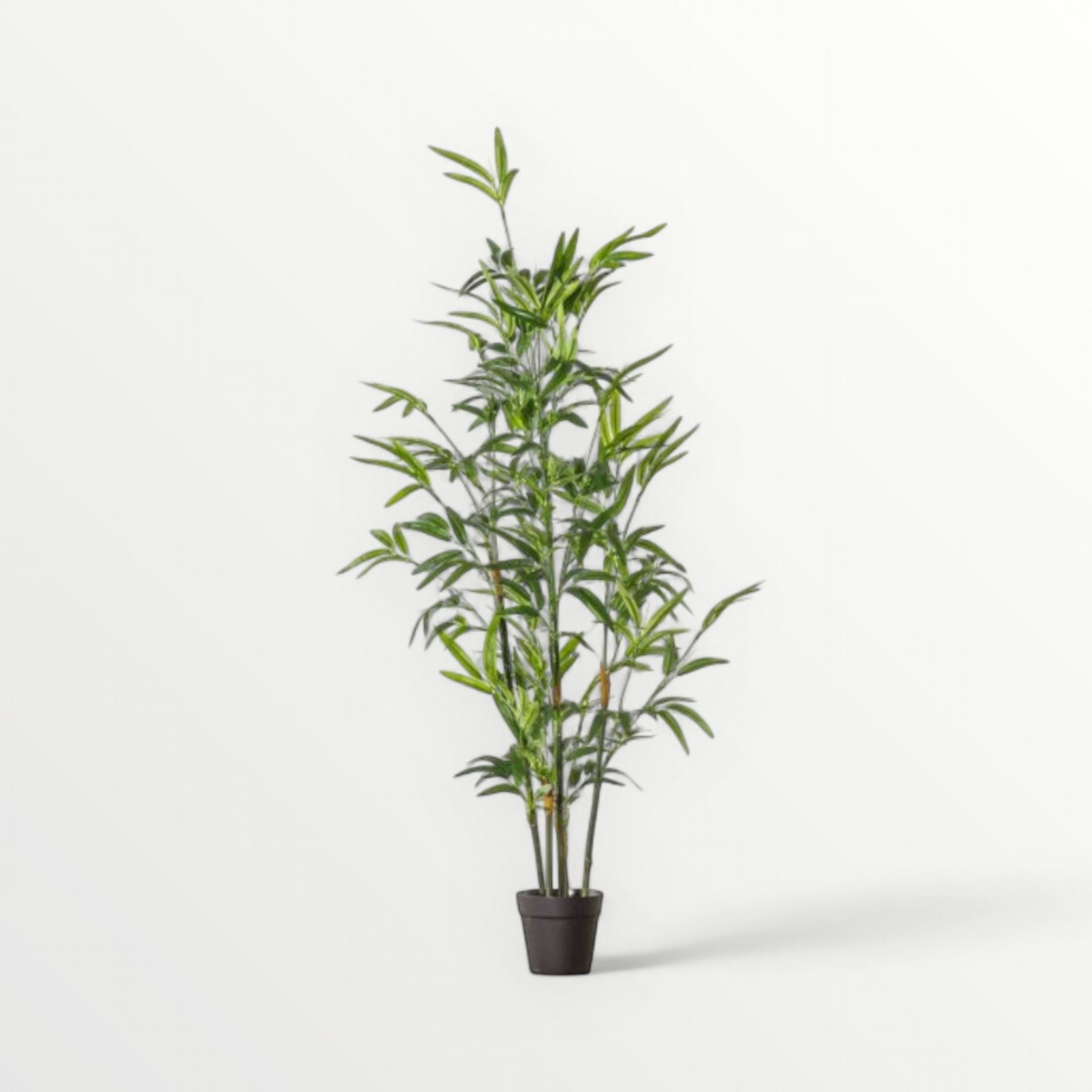 Artificial bamboo plant in a pot on a white background