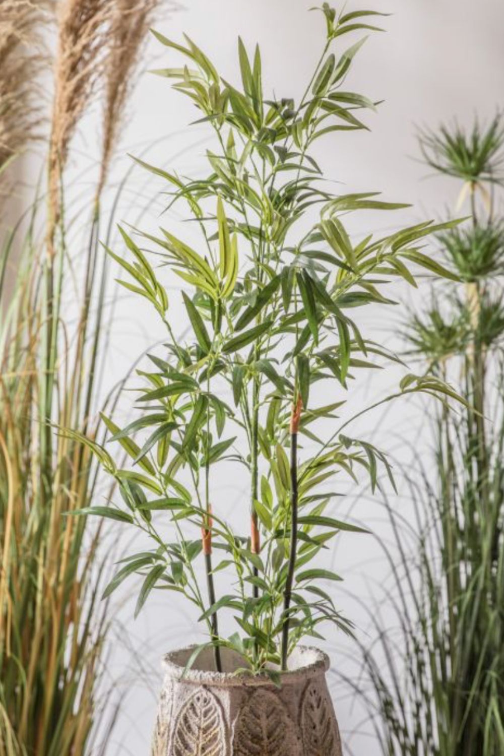 Potted plant with green leaves in a decorative pot against a neutral background