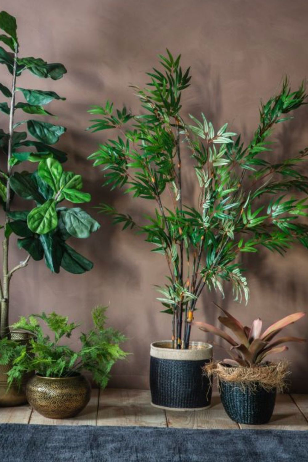 Collection of potted plants on a wooden surface with a brown wall background