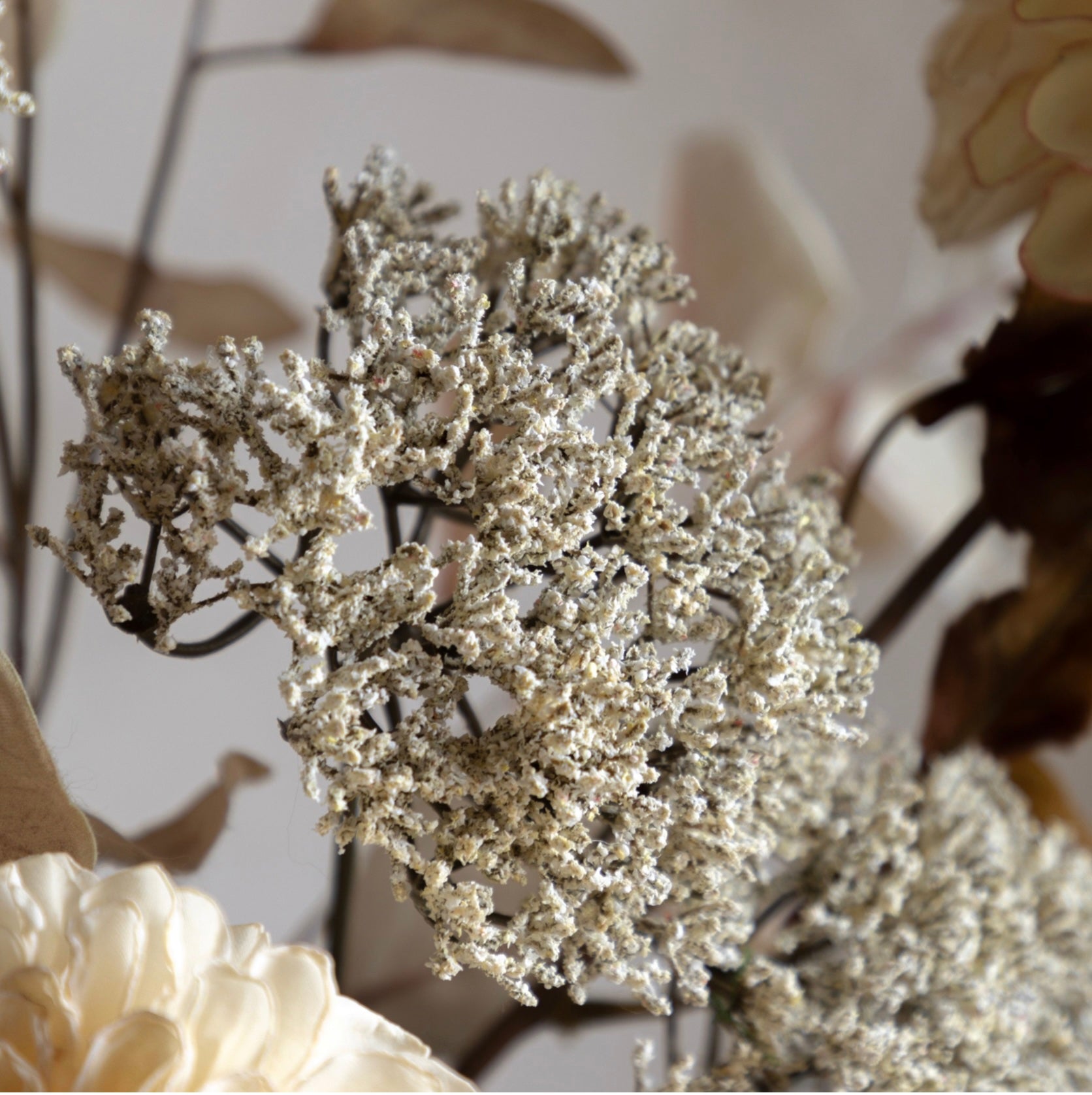 Decorative element resembling a coral branch with a blurred background