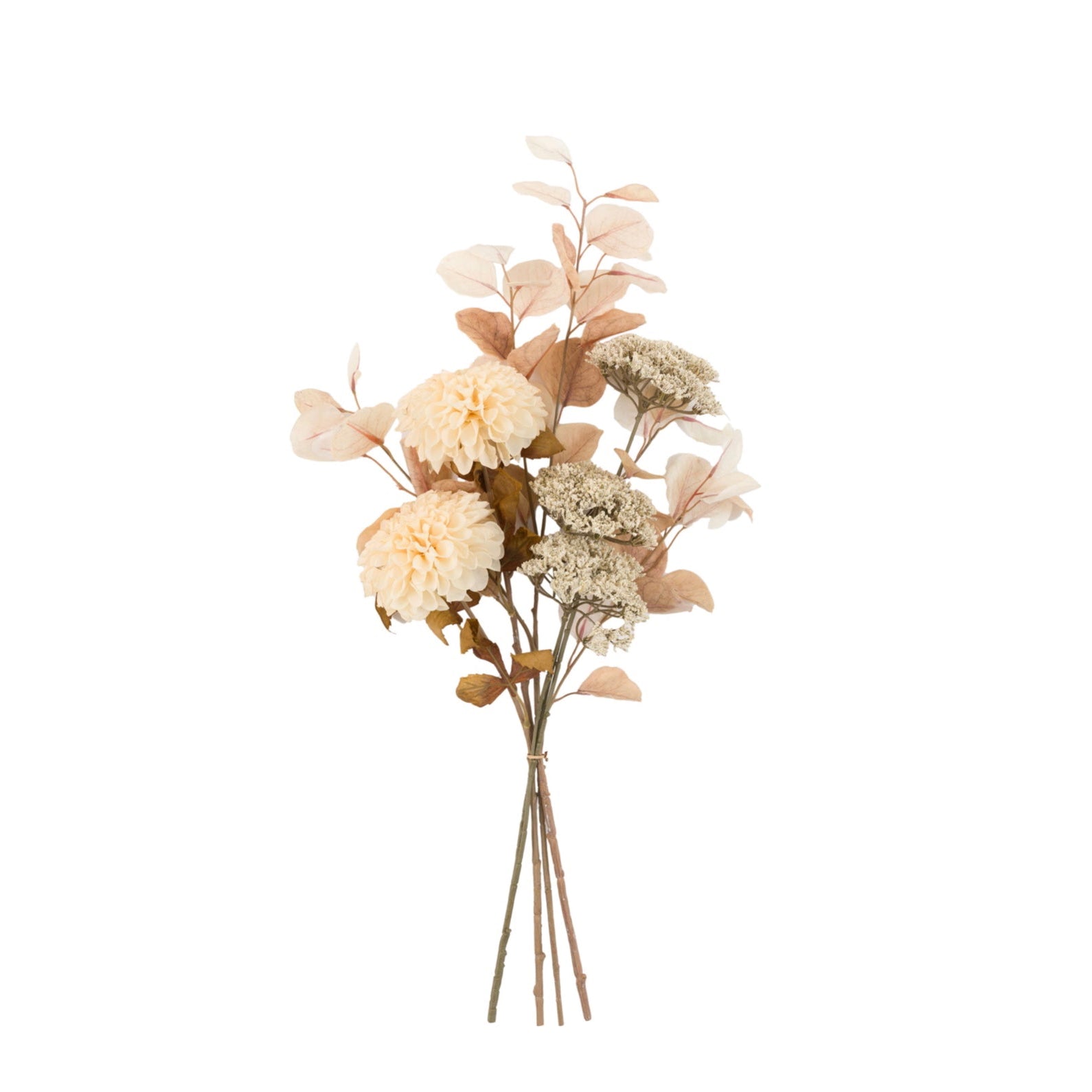 Bouquet of flowers with beige and green tones on a white background