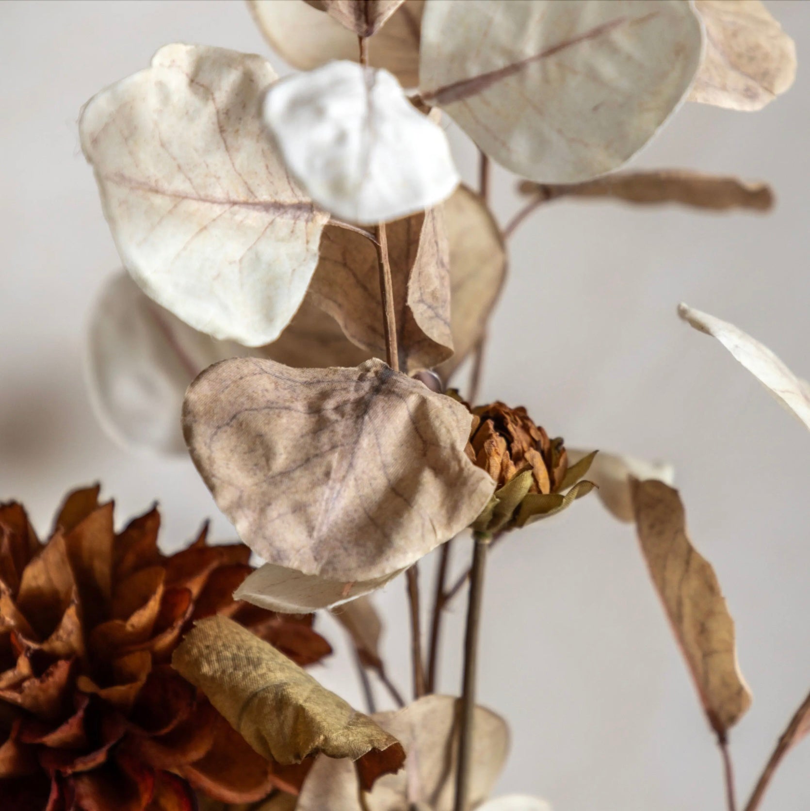 Eucalyptus Autumnal Bouquet Close Up