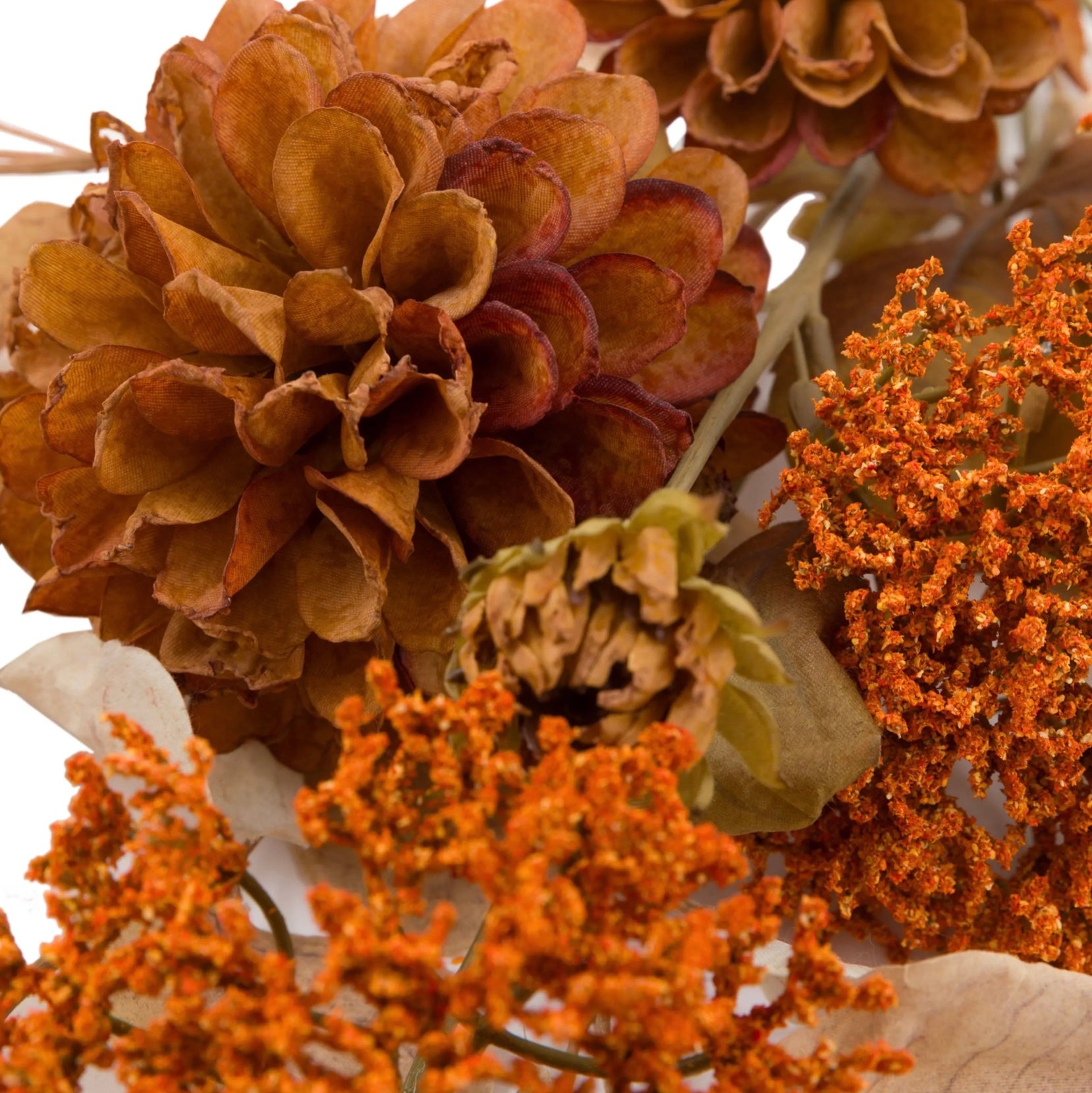 Close-up of dried flowers with brown and orange hues on a white background