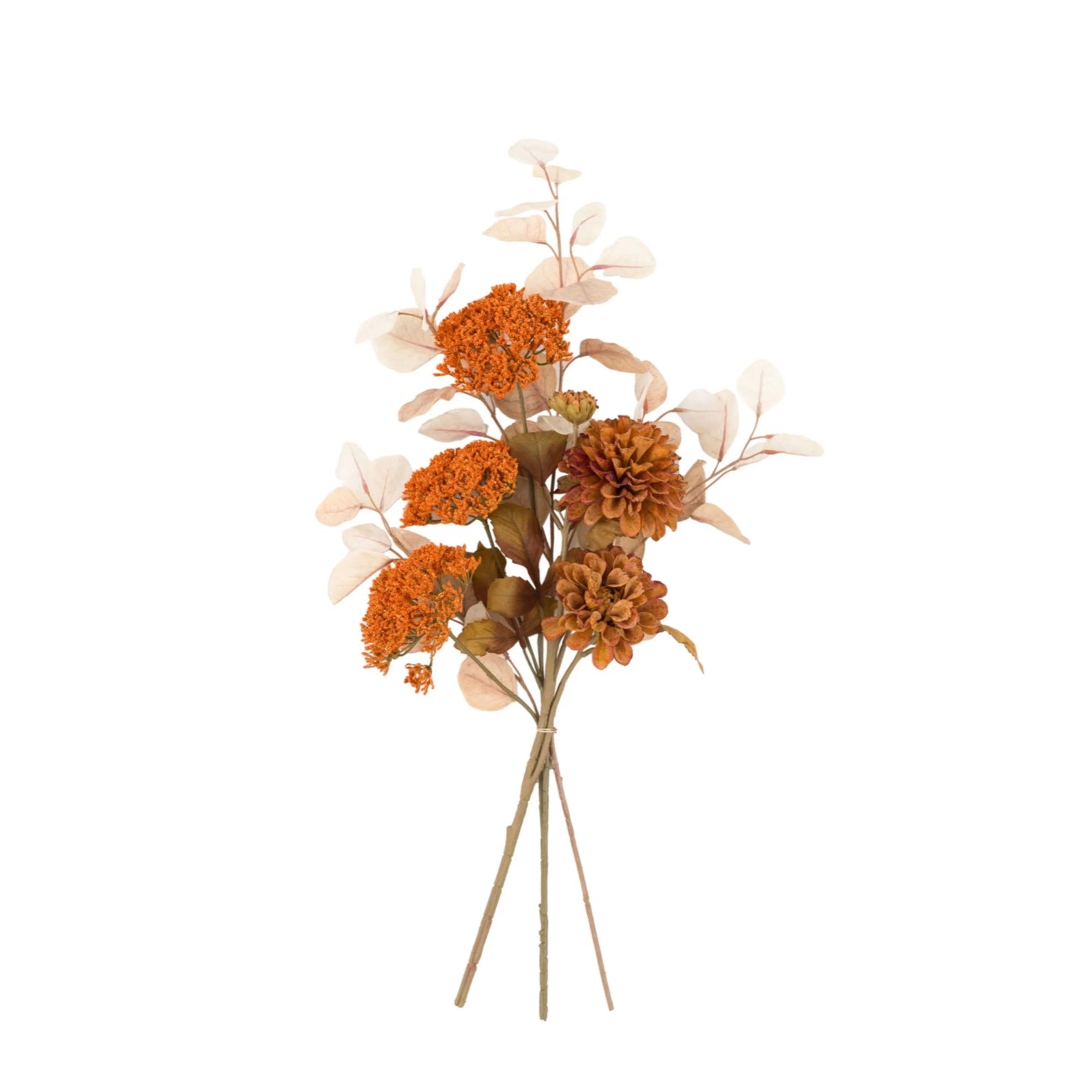 Eucalyptus Autumnal Bouquet on a white background