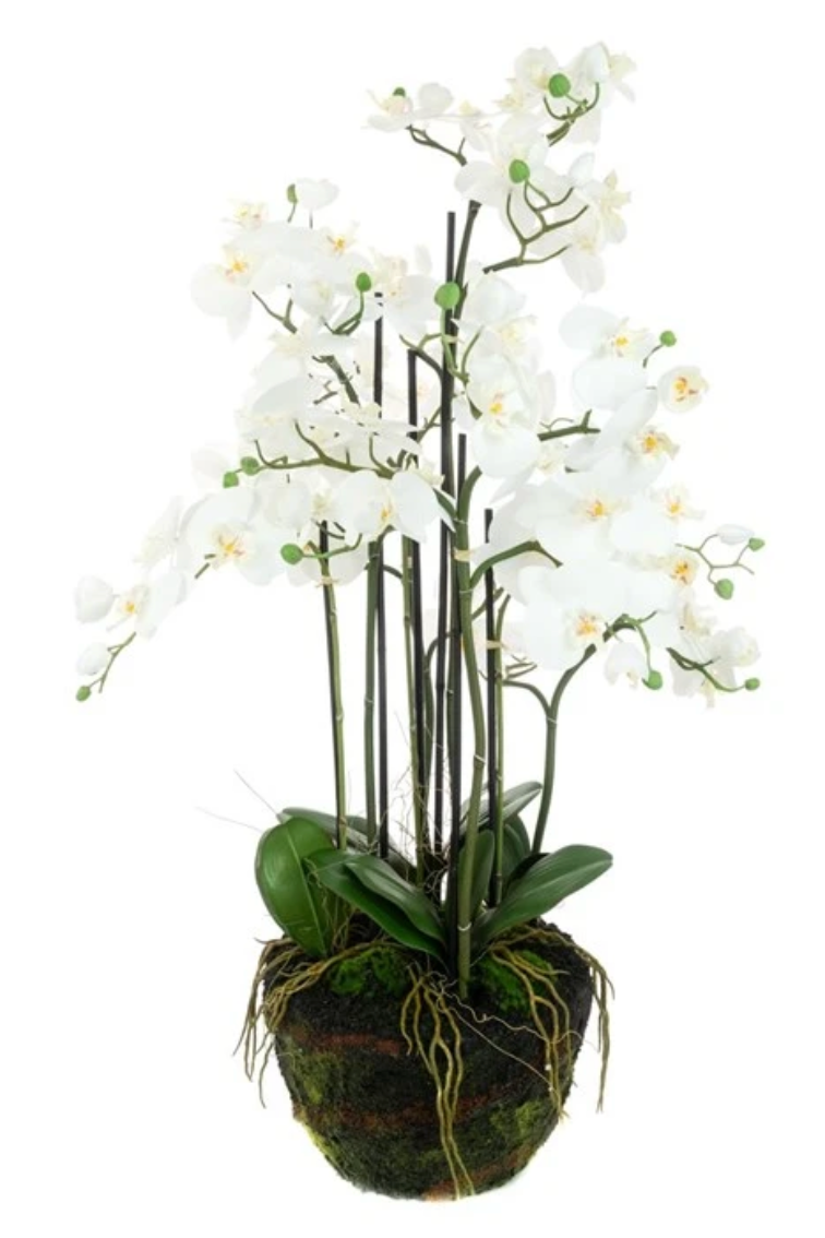 Artificial white orchid plant in a pot on a white background
