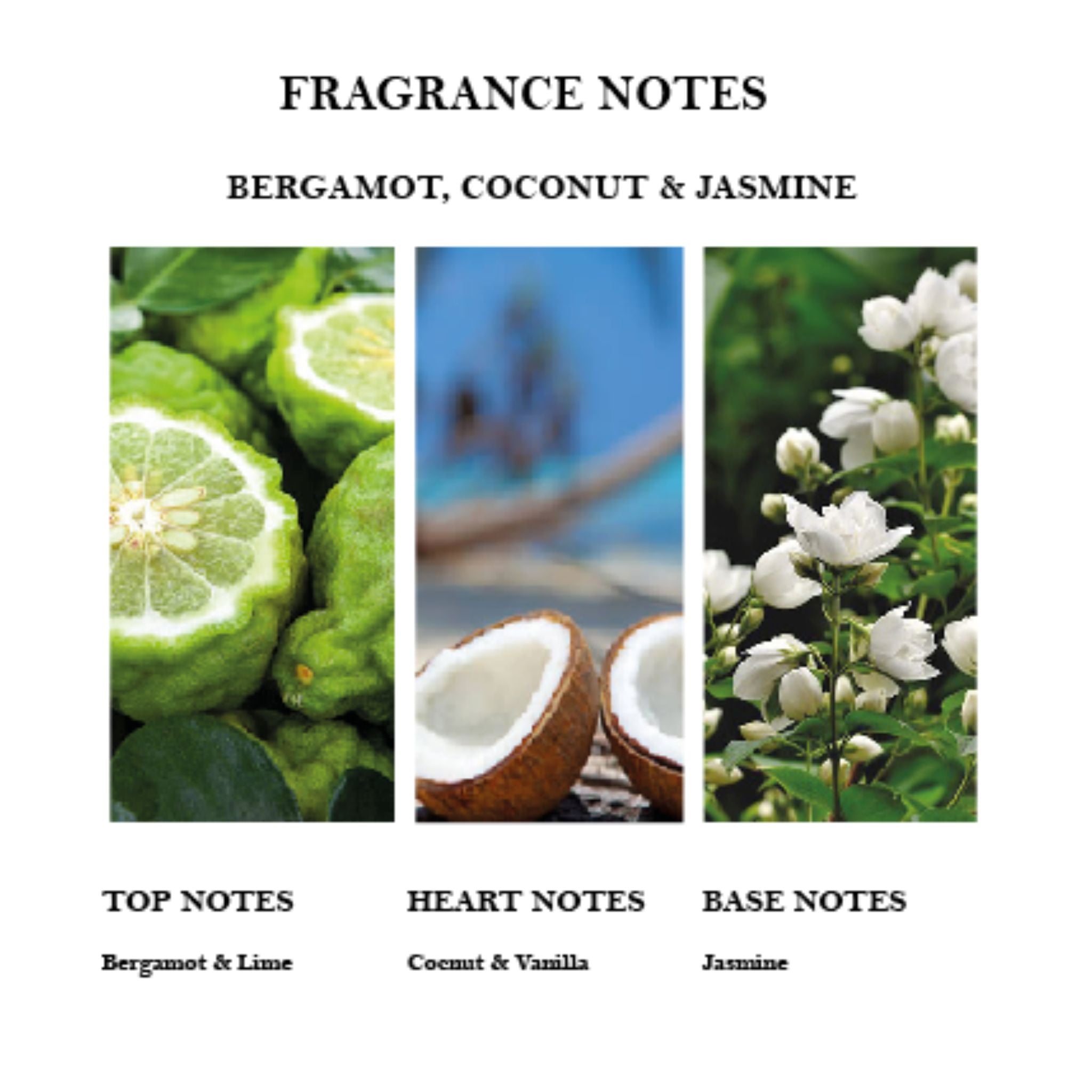 Fragrance notes card with bergamot, coconut, and jasmine images and text.