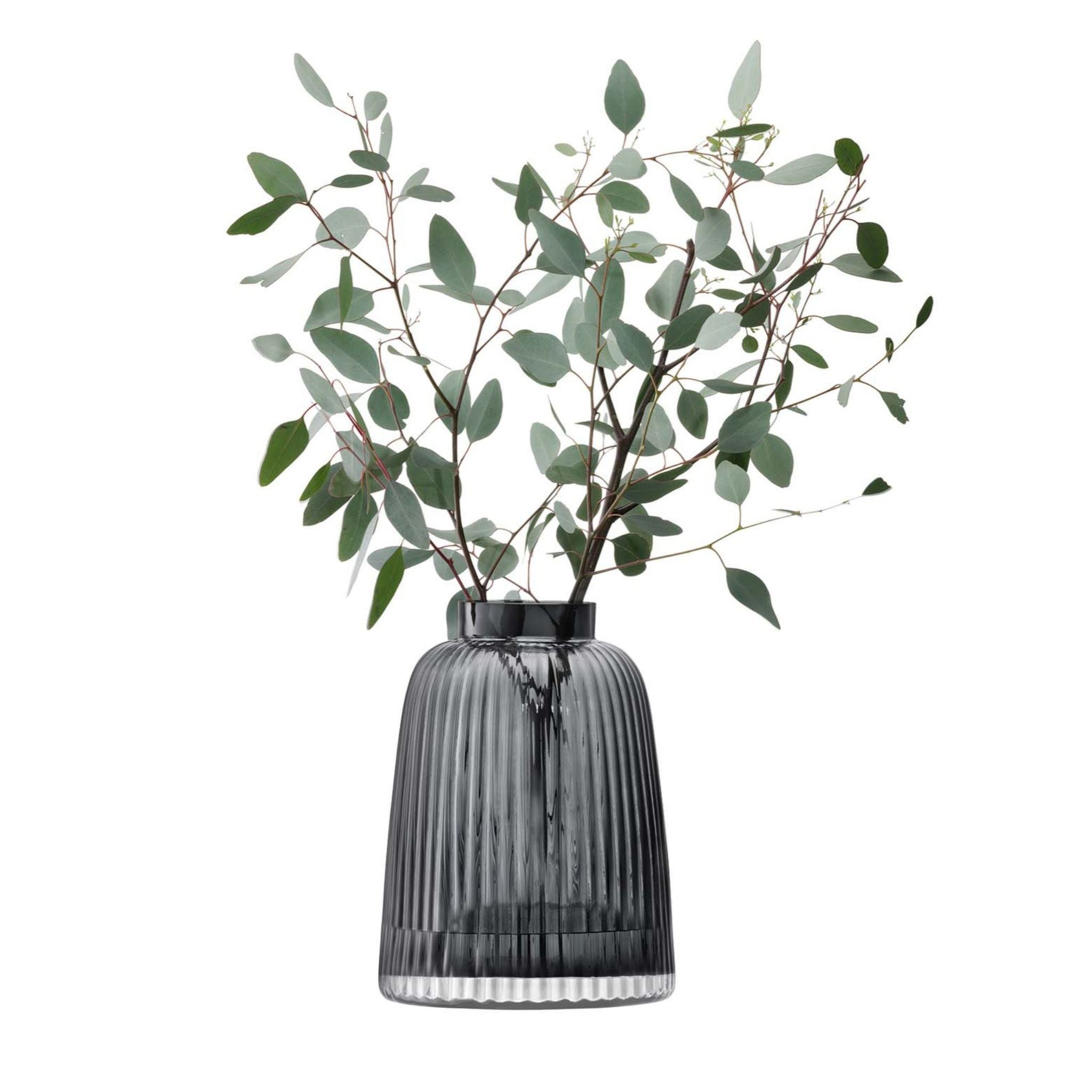 Dark glass vase with green leaves on a white background