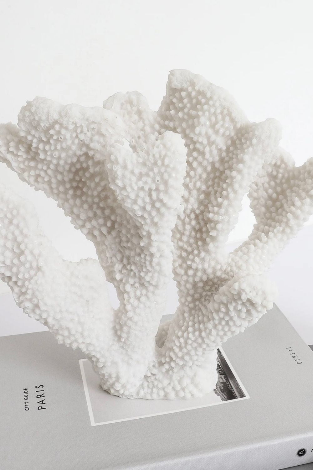 White coral sculpture on a grey coffee table book, Elm & Grey.