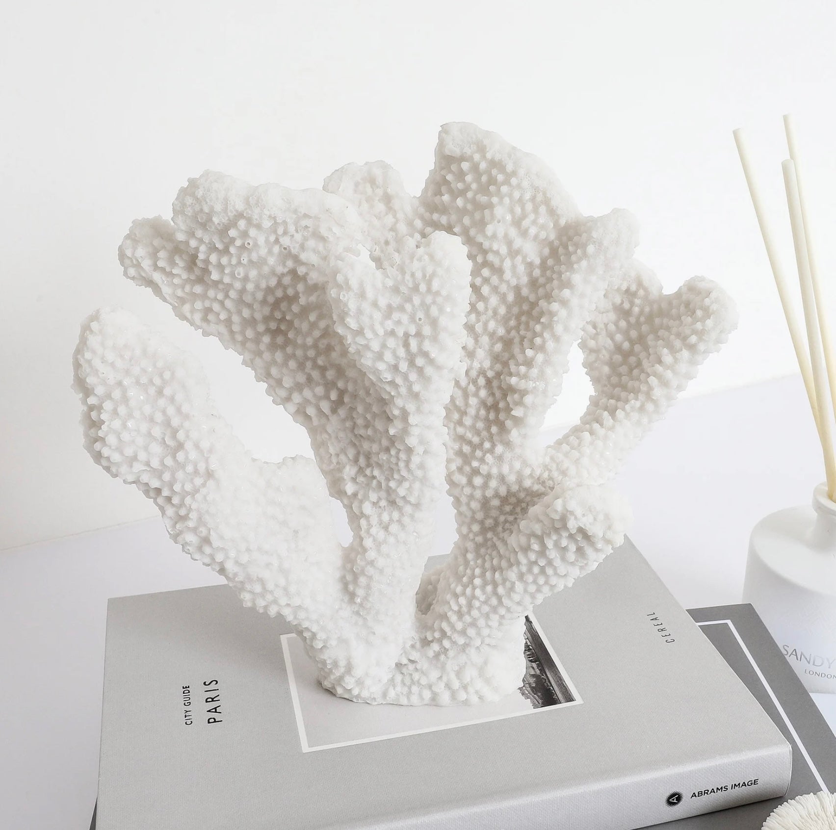 Decorative white coral sculpture on a book with a diffuser in the background, Elm & Grey.
