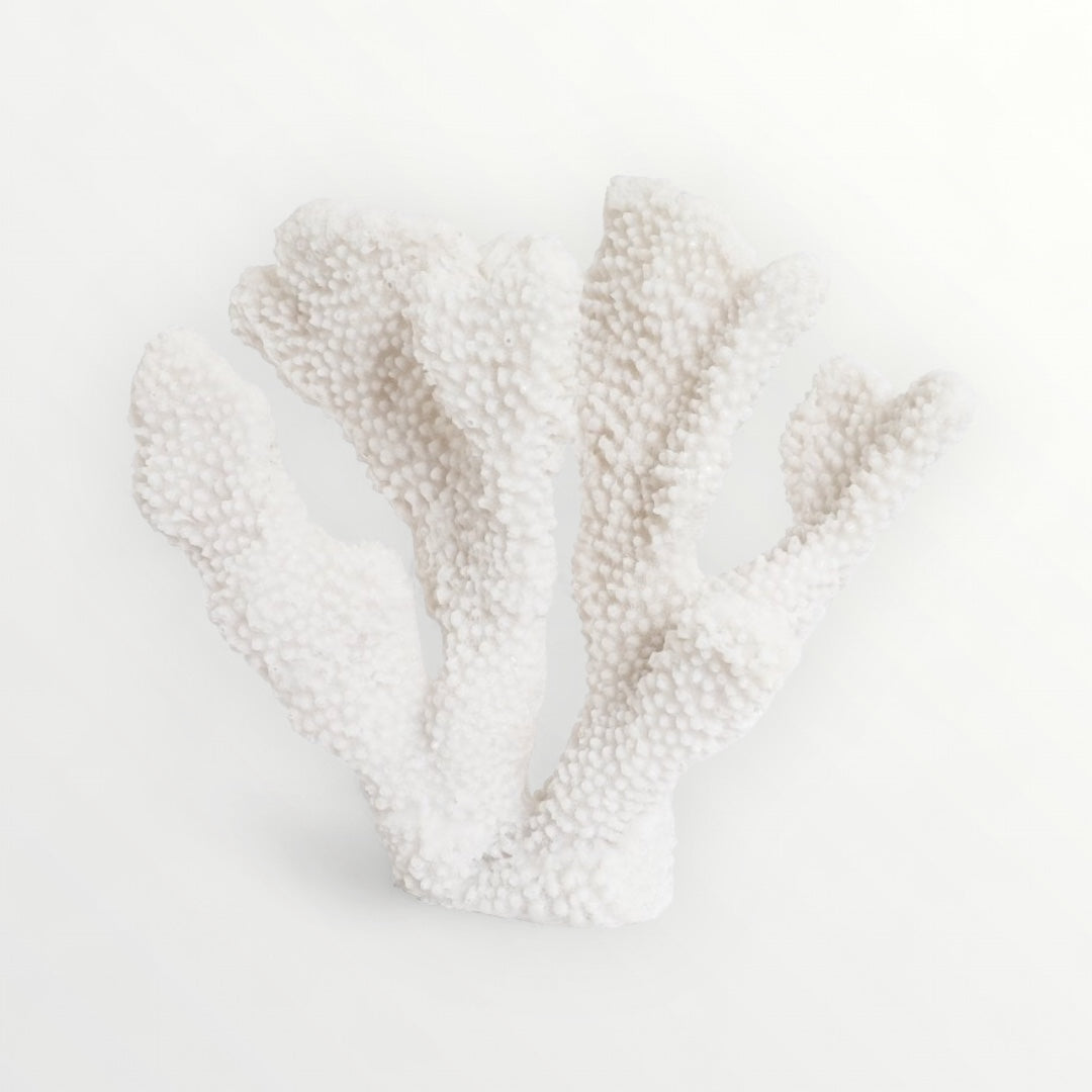 Textured finger coral sculpture on a white background, Elm & Grey.