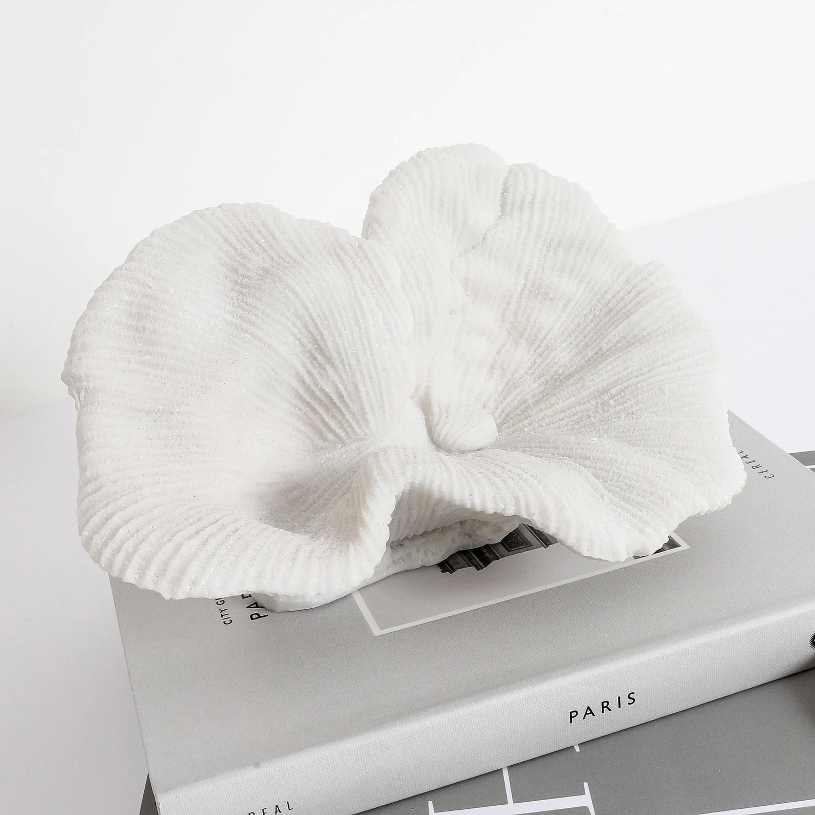White textured platter coral sculpture on a book with 'PARIS' text on a light gray background, Elm & Grey.