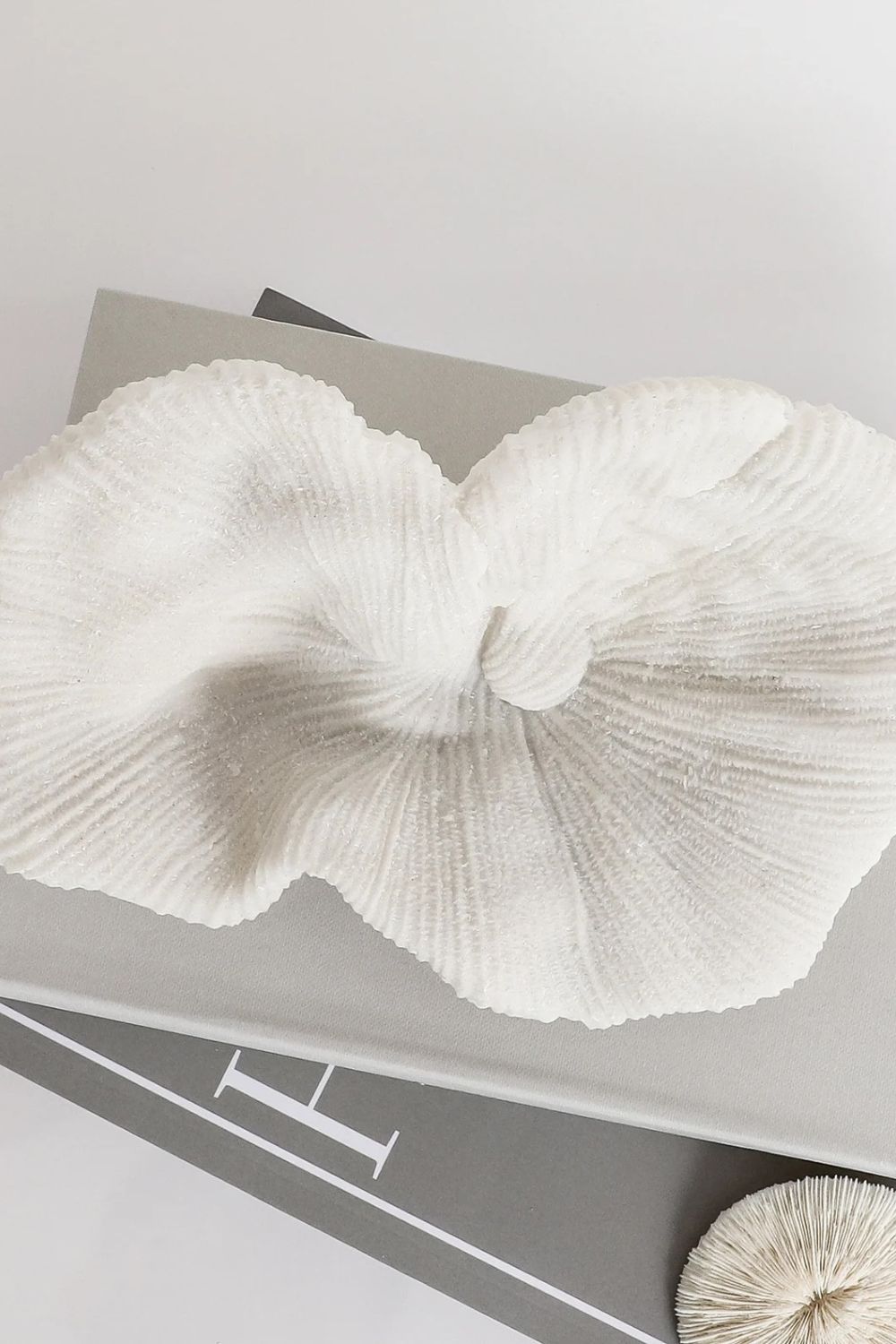 White platter coral sculpture on a gray surface