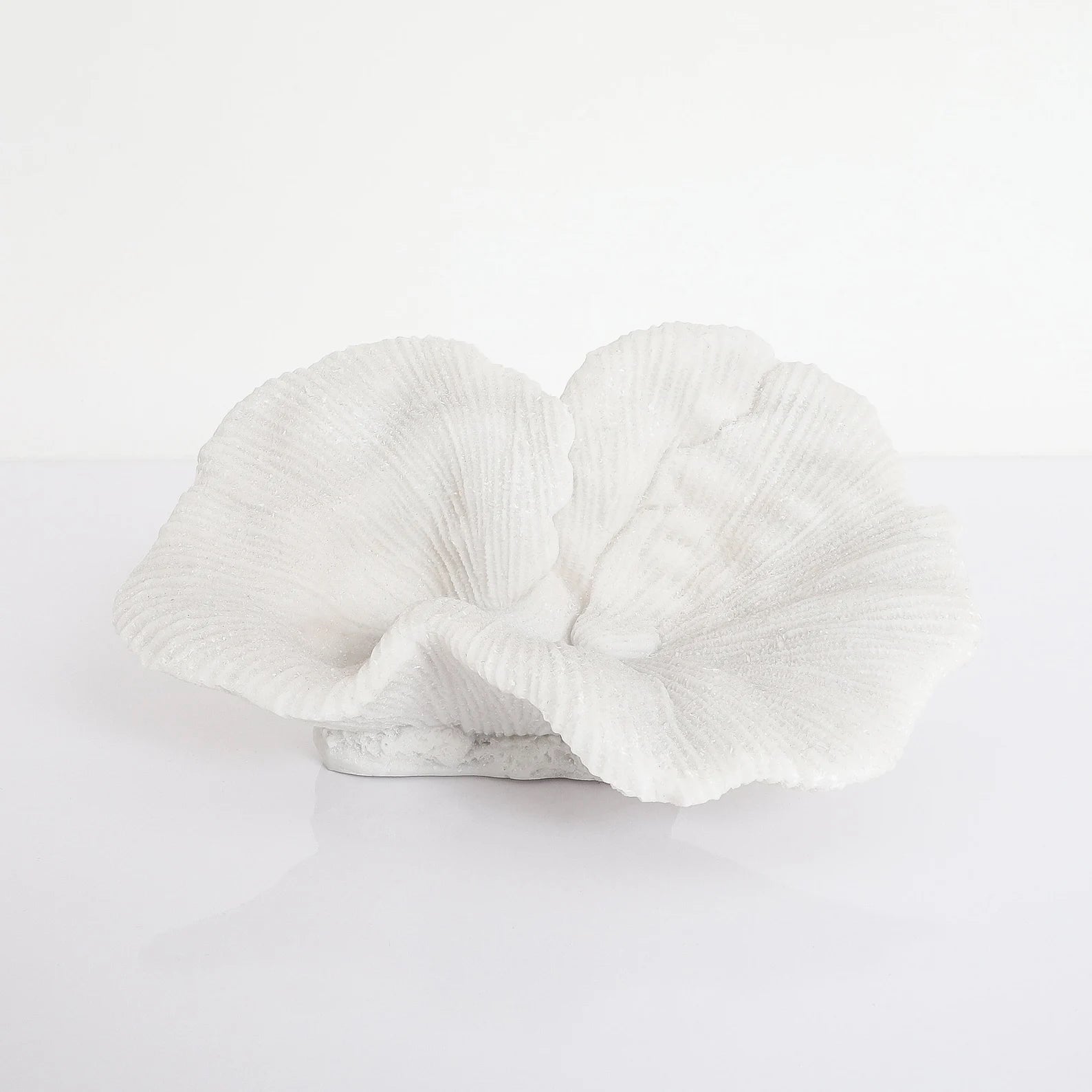White natural textured platter coral sculpture on a light grey background