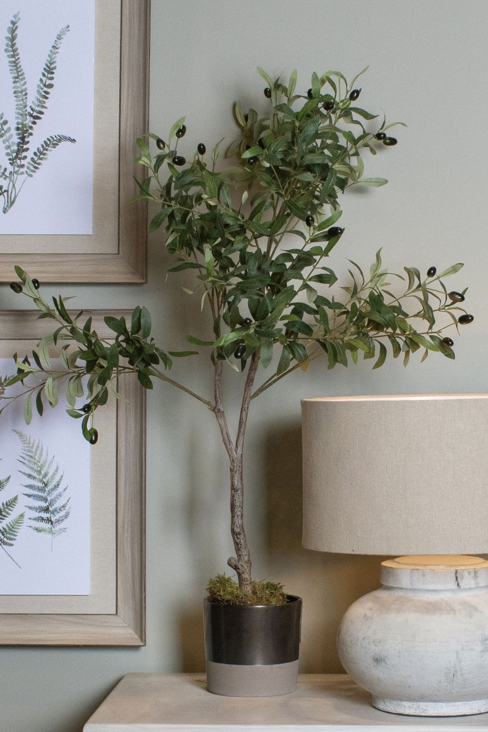Potted plant on a table with framed artwork and a lamp in the background
