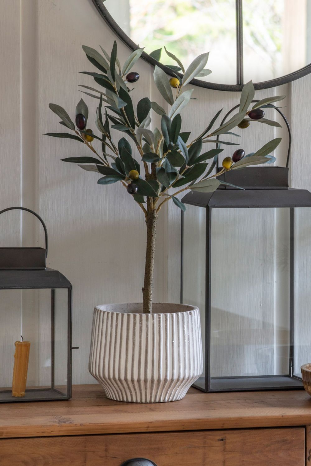 Potted plant on a wooden surface with lanterns in the background