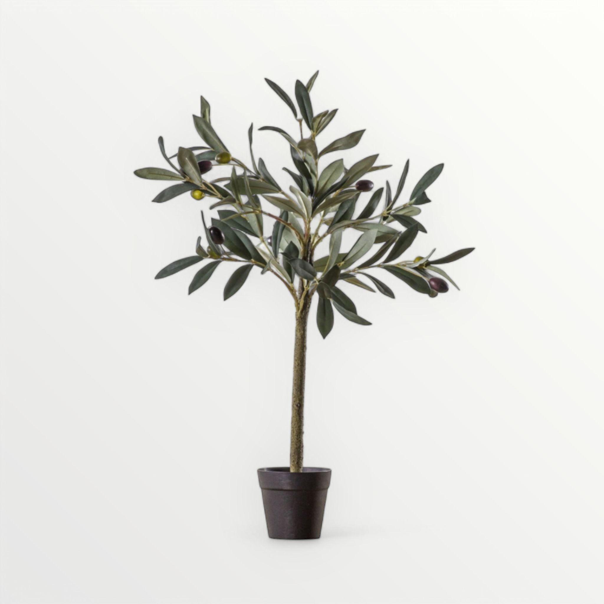 Potted artificial olive tree on a white background